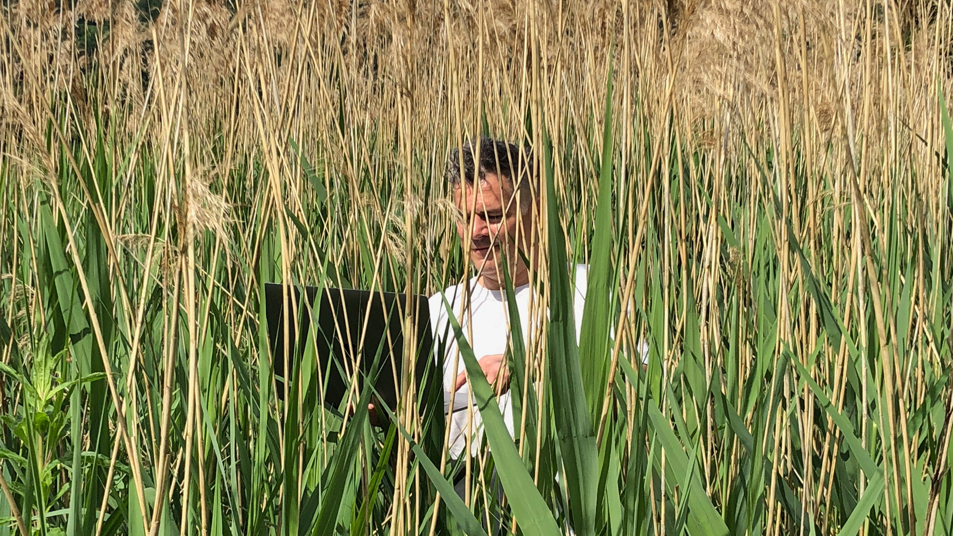 Insights from Cannes Lions Health Festival 2018