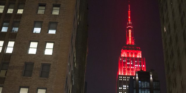 Looking up with #LYNXLife