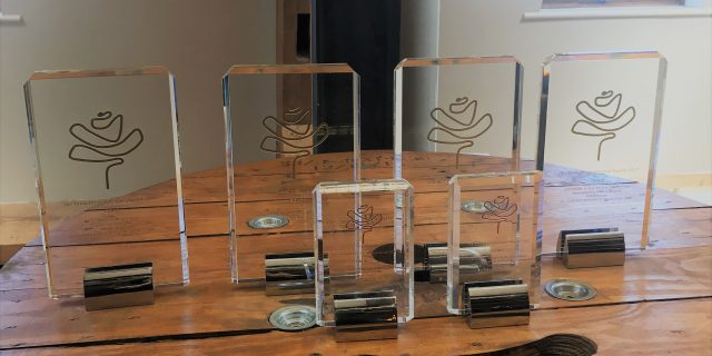 “Not bad for a pharma agency”… Havas Lynx scoops 6 wins at the prestigious Roses Creative Awards