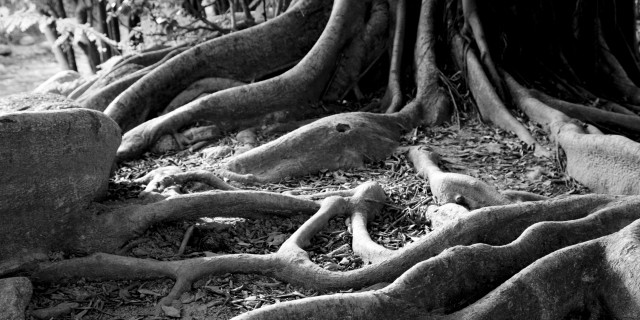 Study your customers to find your brand’s answers