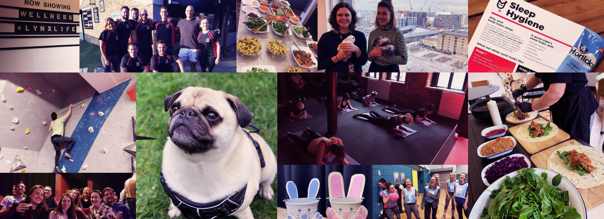 Wellness 2019: wrap up of the year